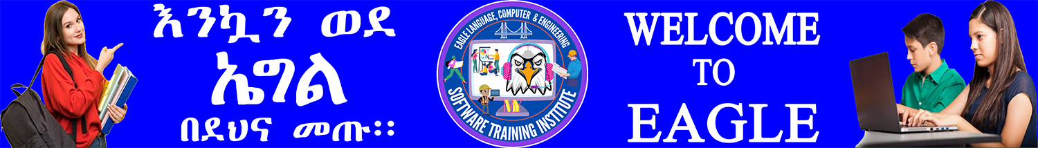 Eagle Language, Computer and Engineering Software Training Institute